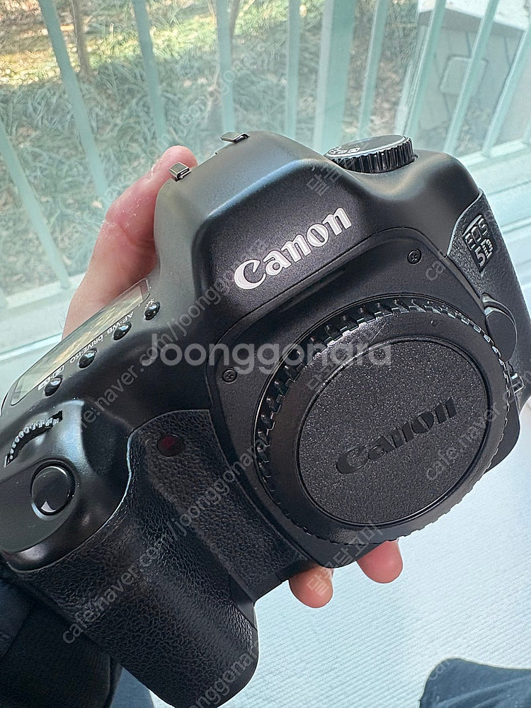 캐논 정품 5D 판매 (구형 카메라)--0