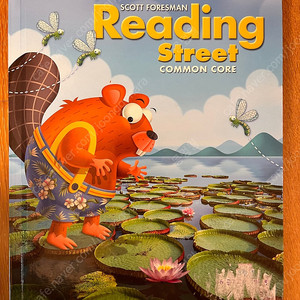 Reading street 1.2