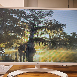 LG 32인치 IPS 화이트 모니터