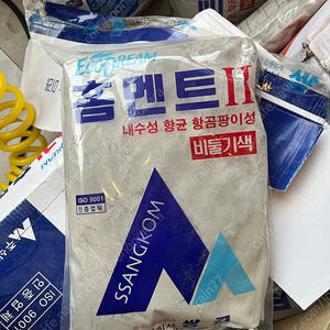 쌍고 매지 비둘기색 판매합니다