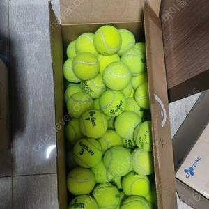 테니스공 연습구 30개 1.5만(택포)