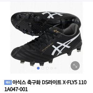 아식스 DS Light X-Fly5 엑스플라이5 275 판매