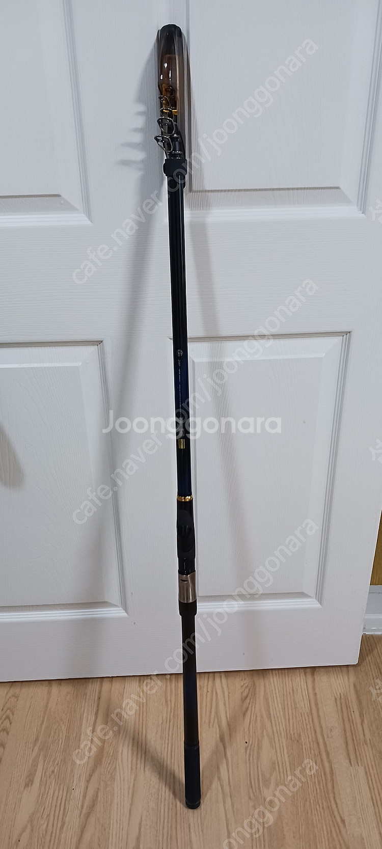 다이와 메가디스 4호대 (가격인하)--0