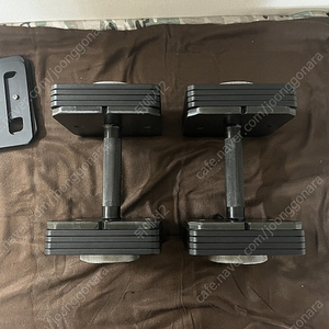 에프몬스터 퀵블럭 덤벨 팝니다 (34kg x 2)