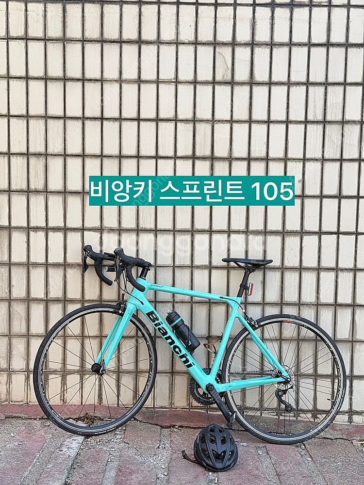 [카본프레임] 23년식 비앙키 스프린트 105 + 77...--0