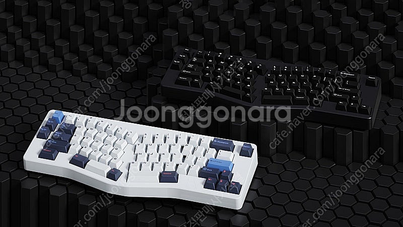 베어65 v2 베어본 팝니다--1