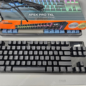 스틸시리즈 APEX PRO TKL 키보드 2023