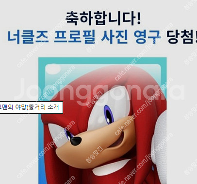 카러플 인기도 1,000만 판매--0