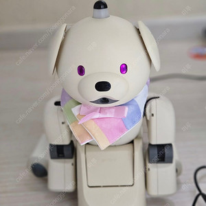 소니 아이보 Sony aibo 라떼 모델