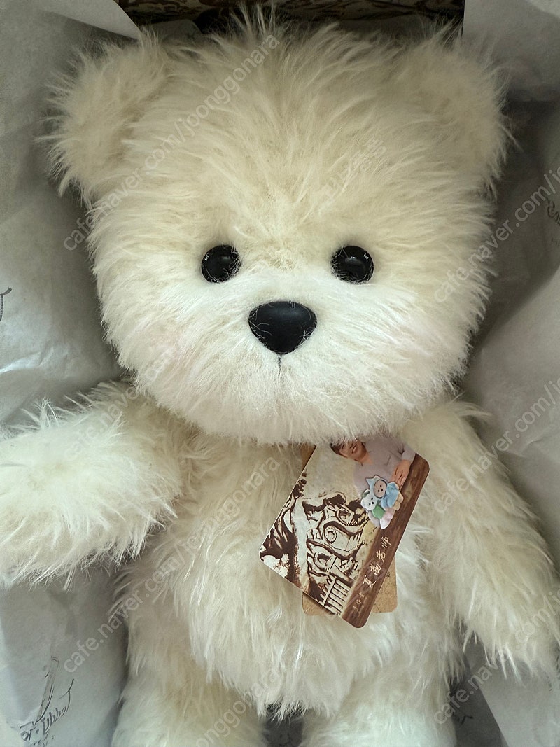 테디테일즈 모헤어 한정판 미디엄사이즈&옷3벌(중국정품) | 중고나라 - 안심되는 중고거래