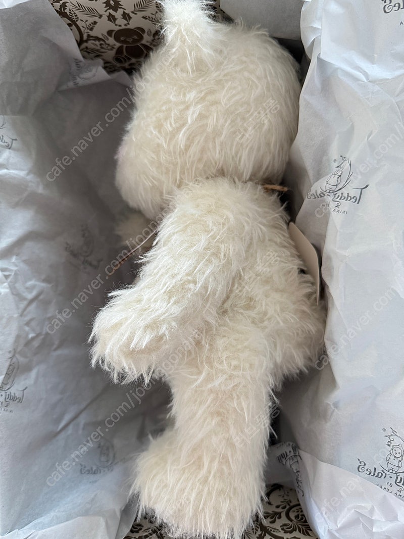 테디테일즈 모헤어 한정판 미디엄사이즈&옷3벌(중국정품) | 중고나라 - 안심되는 중고거래