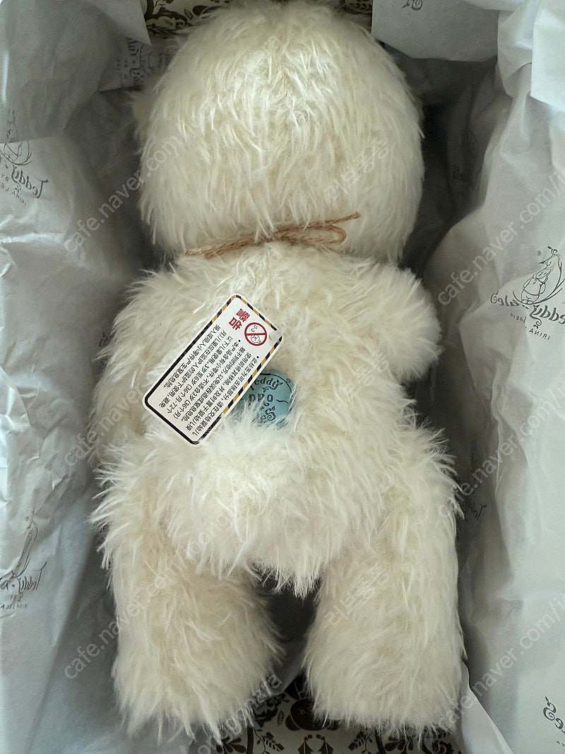 테디테일즈 모헤어 한정판 미디엄사이즈&옷3벌(중국정품) | 중고나라 - 안심되는 중고거래