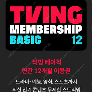 티빙 베이직 12개월 이용권