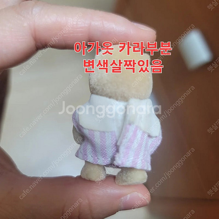 실바니안 해달가족 택포--2