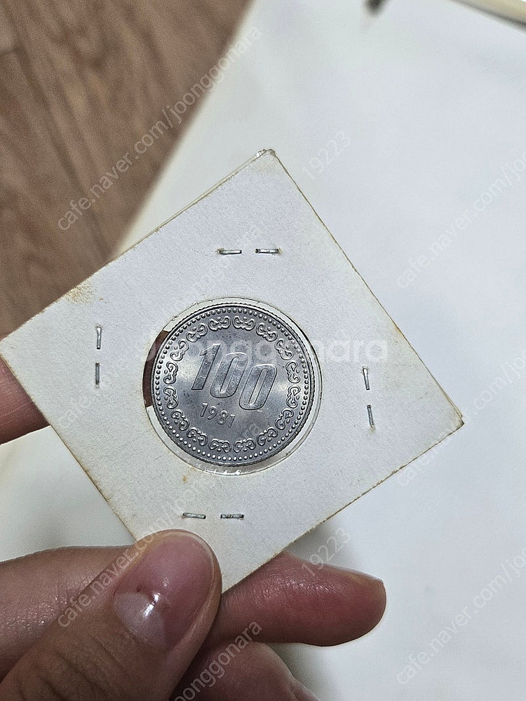 1981년 100원 동전--1