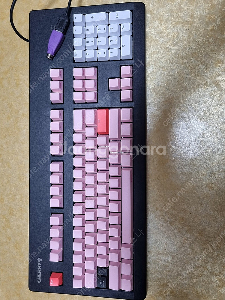체리 G80-3497 스텐다드 청축 상태 S급 급처--0