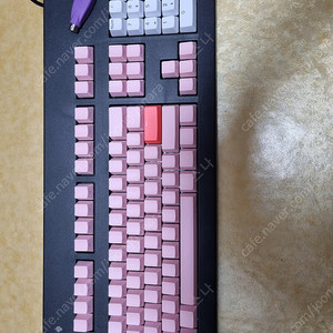 체리 G80-3497 스텐다드 청축 상태 S급 급처