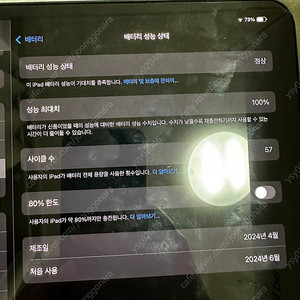 아이패드 프로 m4 256기가 스그 wifi버전