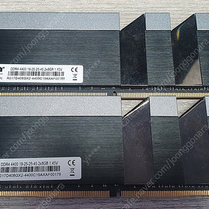 써멀테이크 DDR4-4400 CL19 TOUGHRAM 블랙 패키지 (16GB(8Gx2))