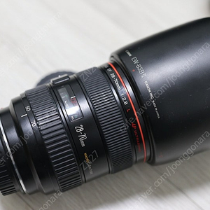 캐논 28-70 F2.8 (구구계륵), 24.4 (이사벨투) ,135mm F2.0 (큰사무엘) , 100mm F2.8 MACRO, 50.4 , 탐론 28-75 , 삼양 MF 14m