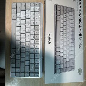 로지텍 MX MECHANICAL MINI for Mac