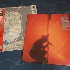 수입 팝 락 명반 엘피 LP