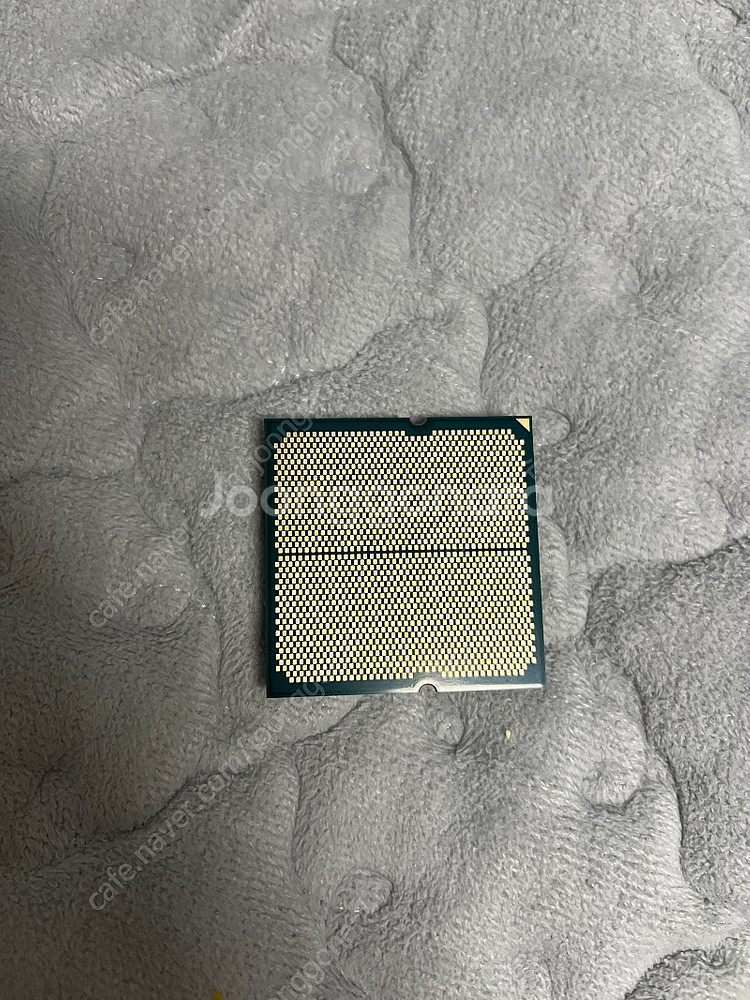 AMD 라이젠 R5 7500F 벌크 택포 15만--1