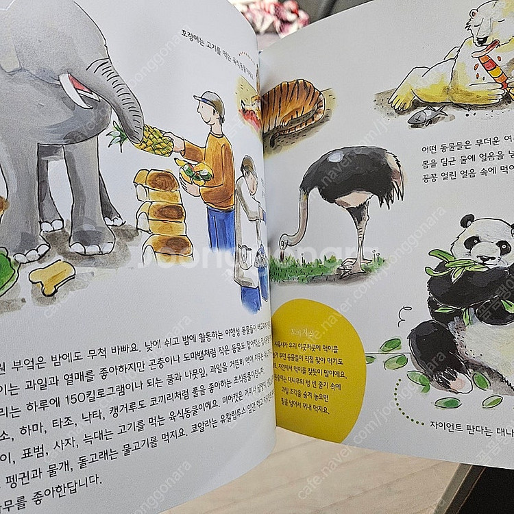 [최저가] 나는 알아요 30권 [택배비 별도]G--2