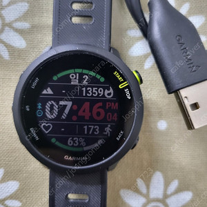 가민 포러너 55
