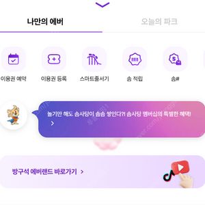 에버랜드 종일권