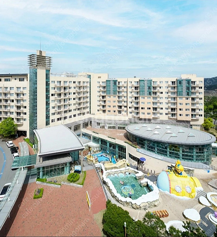 3월4월 벚꽃축제 경주(한화.블루원.켄싱턴) 양도합니다--0