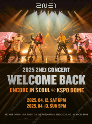 2NE1(투애니원) 서울 앙코르 콘서트 VIP 단석 양...--0