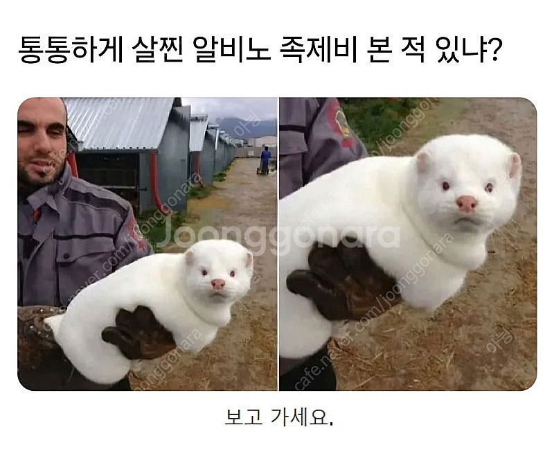 추천인X 레전드오브이미르 3회 ㅇㅈ 3천원에 삽니다. ...--0
