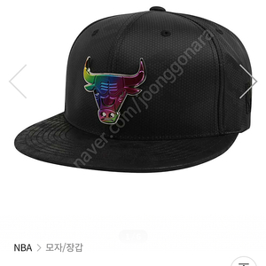 NBA 시카고불스 모자