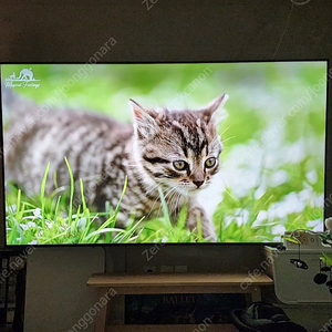 LG 86인치 나노셀 TV 86SM9070PUA, 벽걸이 브라켓, TV 스탠드 포함