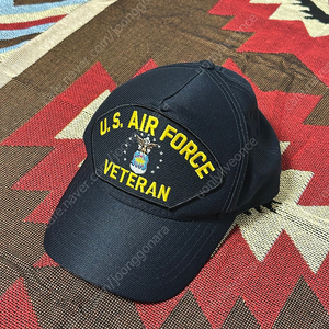 US ARMY USS Air Force Vetran 볼캡