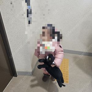 미니소 검정색 고양이인형 구합니다