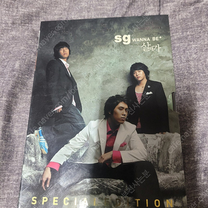 SG Wannabe SG워너비 살다가 Special Edition 음반