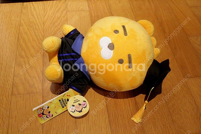 카카오프렌즈 새상품 라이언 졸업식 라이언인형 리틀라이언...--0