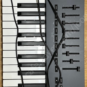 Novation FLkey 61 MIDI 키보드팝니다