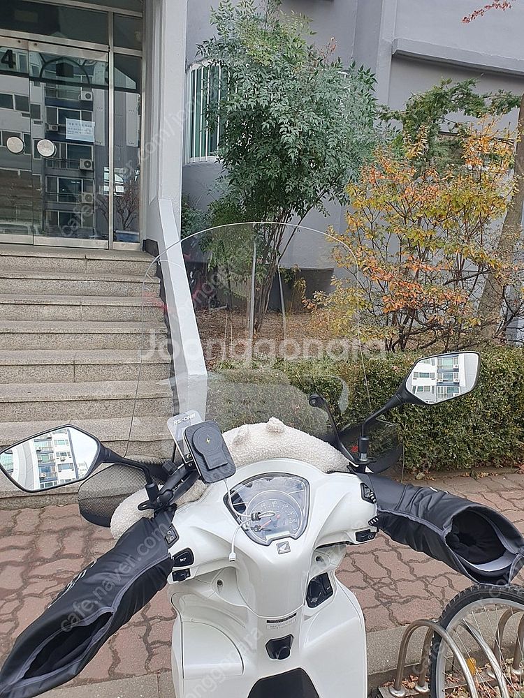 혼다 비전110 기비 윈드스크린[가격인하]--0
