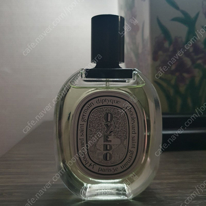 딥디크 딥티크 오에도 일리오 100ml