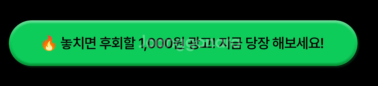 샤넬 가방, 에르메스 목걸이, 프라다 가방 등 효과적으...--2
