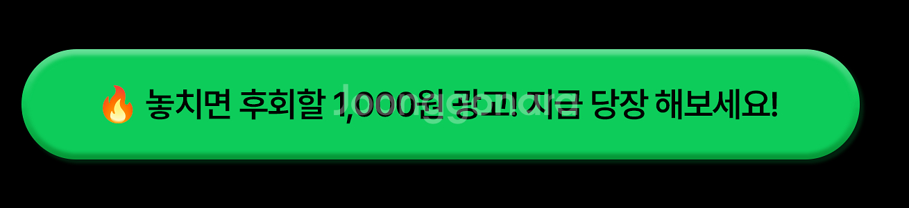 샤넬 가방, 에르메스 목걸이, 프라다 가방 등 효과적으...--2