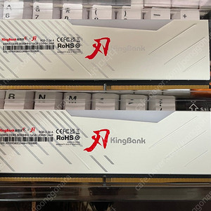 DDR5 킹뱅크 8000 cl36 32기가