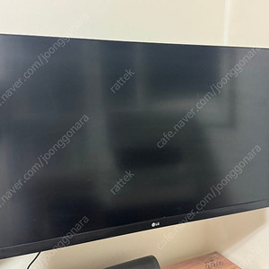 LG 27GL650F
