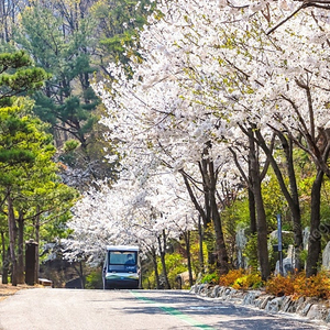 (3월28일29일) 제천 리솜 포레스트 2박.