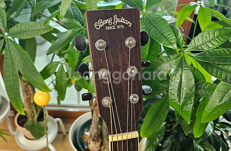 오봉 기타 크라운 수제 통기타--2