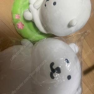 비플랫 농담곰 인형 판매합니다