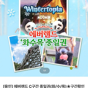 에버랜드 C구간 2매(3월20일까지)